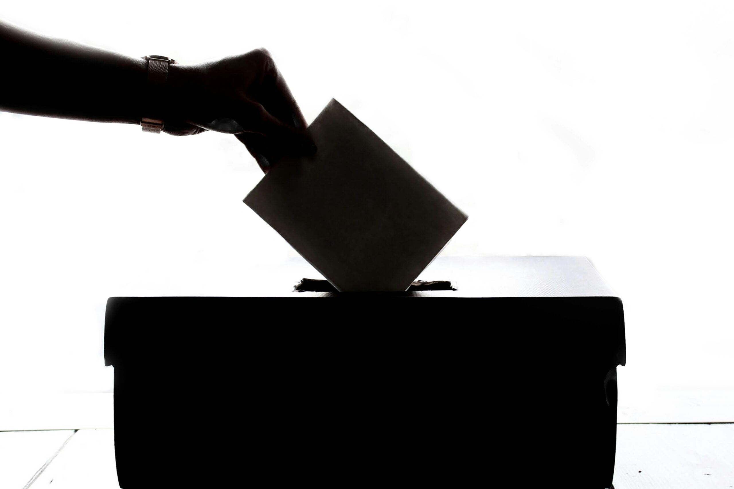 Read more about the article Eleição PE 2024 – Folhetos / Voto Antecipado