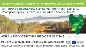 Read more about the article Criação da ZIF de Oliveira de Azeméis-S. Roque-Vila de Cucujães