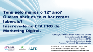 Read more about the article C.C. Raínha -Formação Profissional EFA NS Pro Técnico/a de Comunicação e Serviço Digital – Com apoio Financeiro