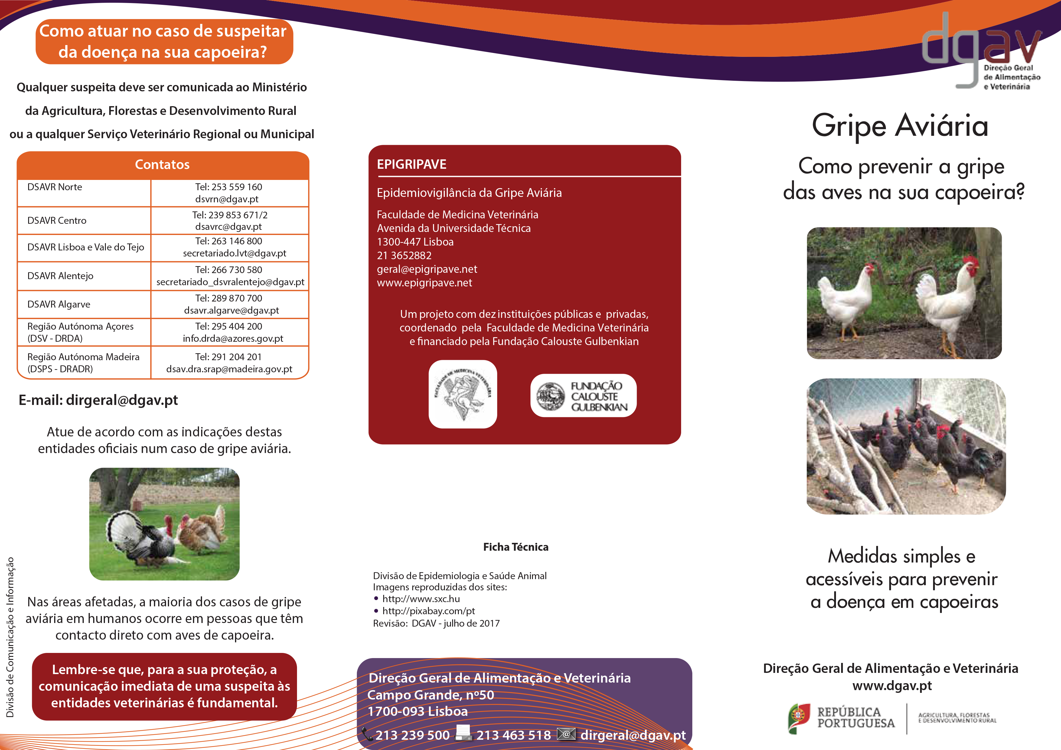 Read more about the article GRIPE AVIÁRIA DE ALTA PATOGENICIDADE