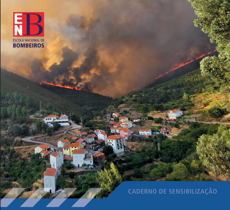 Read more about the article INCÊNDIOS RURAIS: O QUE FAZER ANTES, DURANTE E DEPOIS